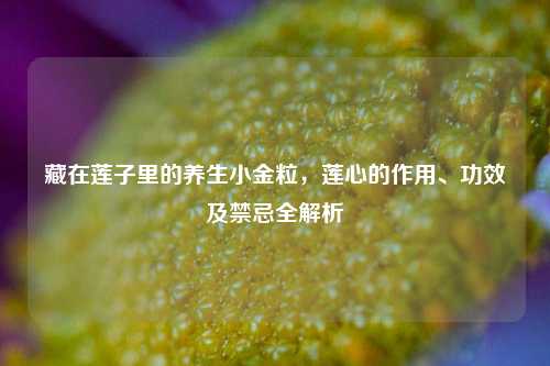 详细阅读:藏在莲子里的养生小金粒,莲心的作用、功效及禁忌全解析 藏在莲子里的养生小金粒,莲心的作用、功效及禁忌全解析