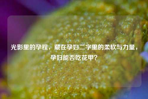 光影里的孕程，藏在孕妇二字里的柔软与力量，孕妇能否吃花甲？