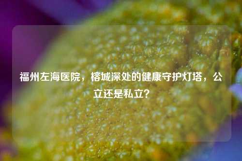 福州左海医院，榕城深处的健康守护灯塔，公立还是私立？
