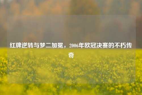 红牌逆转与梦二加冕，2006年欧冠决赛的不朽传奇
