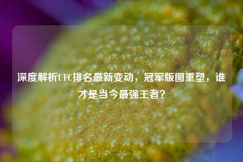 深度解析UFC排名最新变动，冠军版图重塑，谁才是当今最强王者？