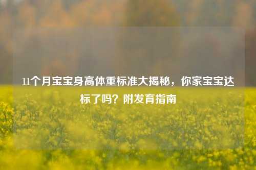 11个月宝宝身高体重标准大揭秘，你家宝宝达标了吗？附发育指南