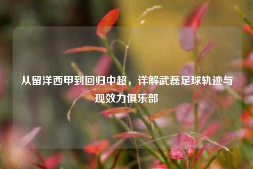 从留洋西甲到回归中超，详解武磊足球轨迹与现效力俱乐部