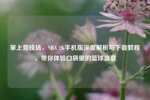 掌上竞技场，NBA 2K手机版深度解析与下载教程，带你体验口袋里的篮球盛宴