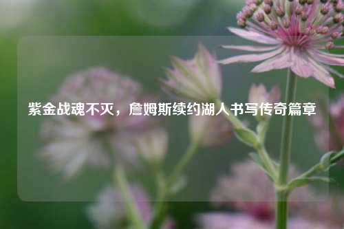 紫金战魂不灭，詹姆斯续约湖人书写传奇篇章