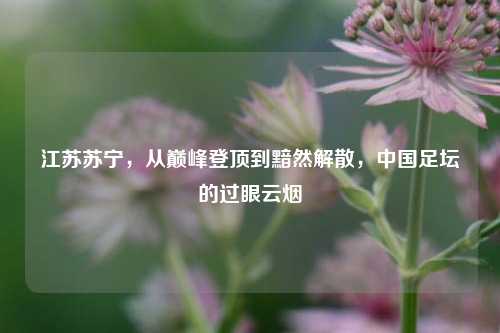 江苏苏宁，从巅峰登顶到黯然解散，中国足坛的过眼云烟
