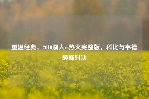 重温经典，2010湖人vs热火完整版，科比与韦德巅峰对决