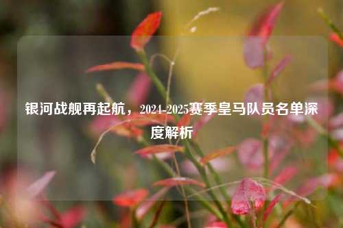 银河战舰再起航，2024-2025赛季皇马队员名单深度解析