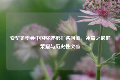 索契冬奥会中国奖牌榜排名回顾，冰雪之巅的荣耀与历史性突破