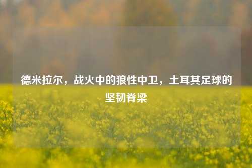 德米拉尔，战火中的狼性中卫，土耳其足球的坚韧脊梁