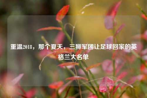 重温2018，那个夏天，三狮军团让足球回家的英格兰大名单