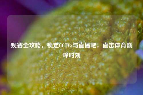观赛全攻略，锁定CCTV5与直播吧，直击体育巅峰时刻