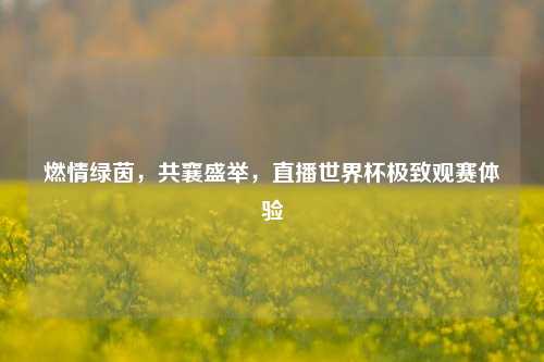 燃情绿茵，共襄盛举，直播世界杯极致观赛体验