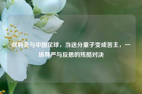 叙利亚与中国足球，当送分童子变成苦主，一场尊严与反思的残酷对决