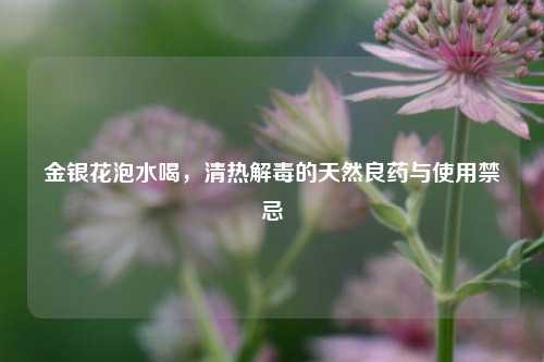 金银花泡水喝，清热解毒的天然良药与使用禁忌