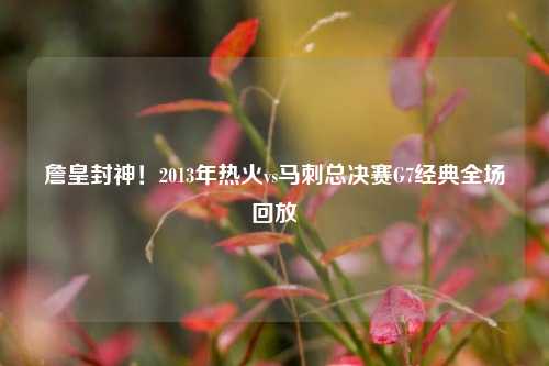 詹皇封神！2013年热火vs马刺总决赛G7经典全场回放