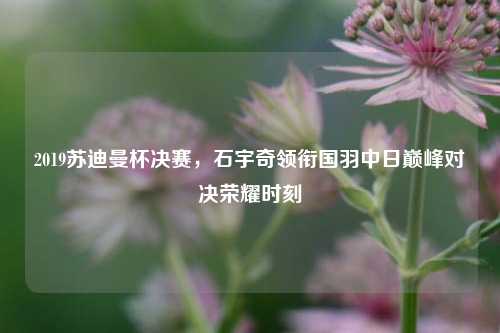 2019苏迪曼杯决赛，石宇奇领衔国羽中日巅峰对决荣耀时刻