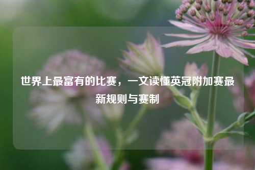 世界上最富有的比赛，一文读懂英冠附加赛最新规则与赛制