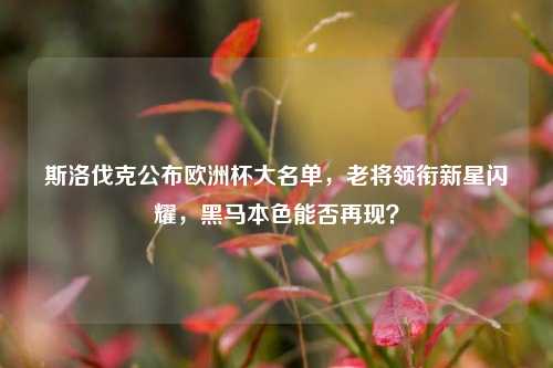 斯洛伐克公布欧洲杯大名单，老将领衔新星闪耀，黑马本色能否再现？