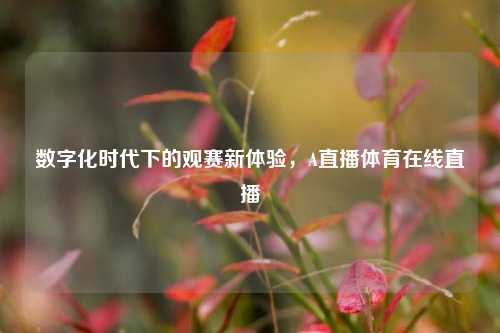 数字化时代下的观赛新体验，A直播体育在线直播