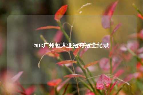 2013广州恒大亚冠夺冠全纪录
