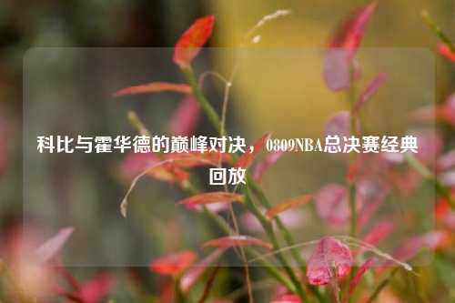 科比与霍华德的巅峰对决，0809NBA总决赛经典回放