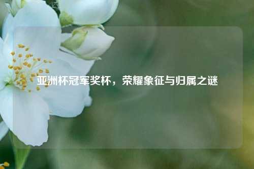 亚洲杯冠军奖杯，荣耀象征与归属之谜