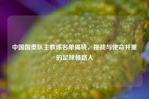 中国国奥队主教练名单揭晓，挑战与使命并重的足球领路人