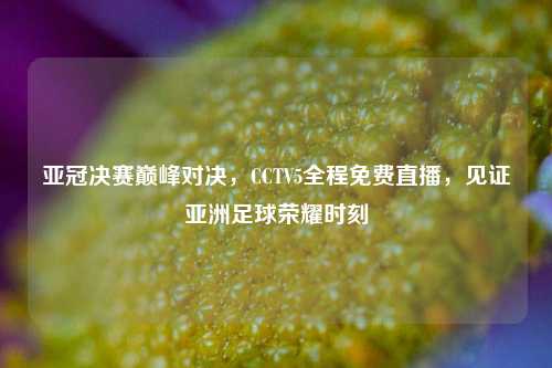 亚冠决赛巅峰对决，CCTV5全程免费直播，见证亚洲足球荣耀时刻