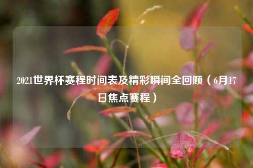 2021世界杯赛程时间表及精彩瞬间全回顾（6月17日焦点赛程）