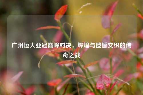 广州恒大亚冠巅峰对决，辉煌与遗憾交织的传奇之战