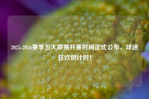 2025-2026赛季五大联赛开赛时间正式公布，球迷狂欢倒计时！