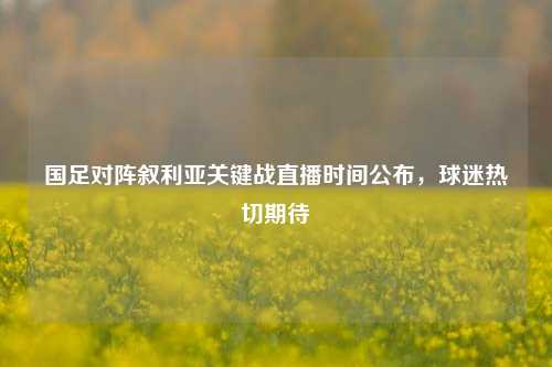 国足对阵叙利亚关键战直播时间公布，球迷热切期待