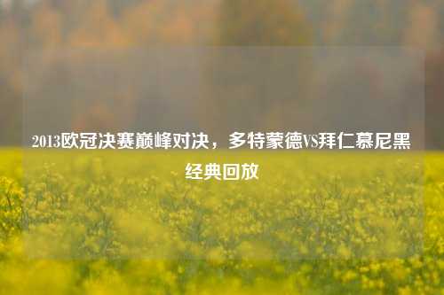 2013欧冠决赛巅峰对决，多特蒙德VS拜仁慕尼黑经典回放