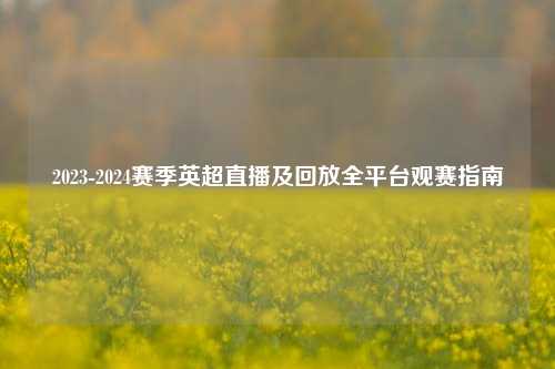 2023-2024赛季英超直播及回放全平台观赛指南
