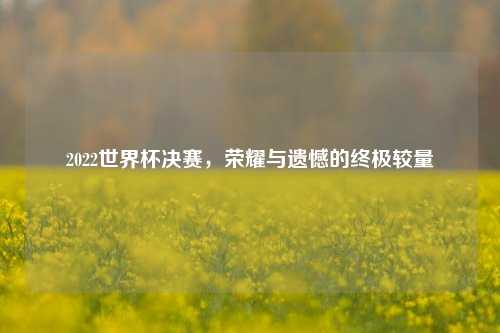 2022世界杯决赛，荣耀与遗憾的终极较量