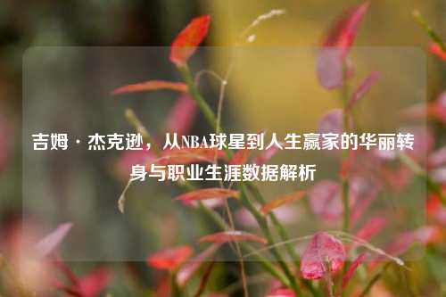 吉姆·杰克逊，从NBA球星到人生赢家的华丽转身与职业生涯数据解析