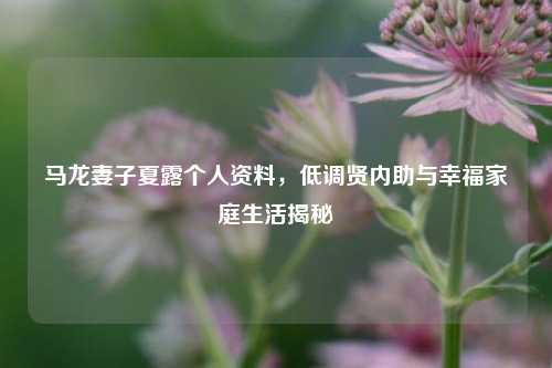 马龙妻子夏露个人资料，低调贤内助与幸福家庭生活揭秘