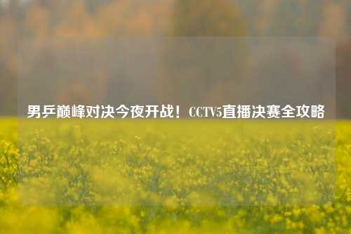 男乒巅峰对决今夜开战！CCTV5直播决赛全攻略