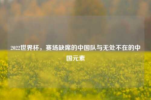 2022世界杯，赛场缺席的中国队与无处不在的中国元素