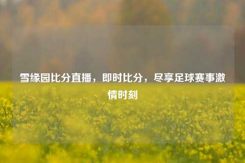 雪缘园比分直播，即时比分，尽享足球赛事     时刻
