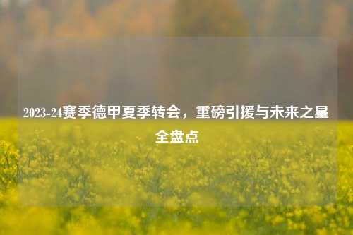 2023-24赛季德甲夏季转会，重磅引援与未来之星全盘点
