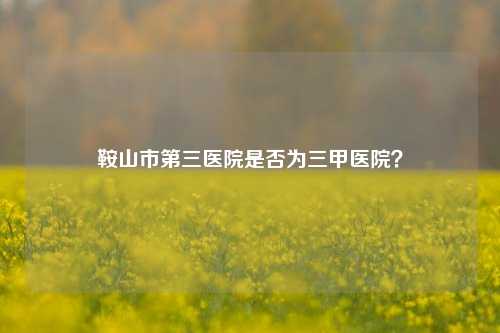鞍山市第三医院是否为三甲医院？