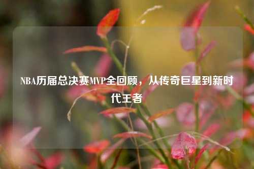 NBA历届总决赛MVP全回顾，从传奇巨星到新时代王者