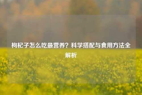 枸杞子怎么吃最营养？科学搭配与食用     全解析