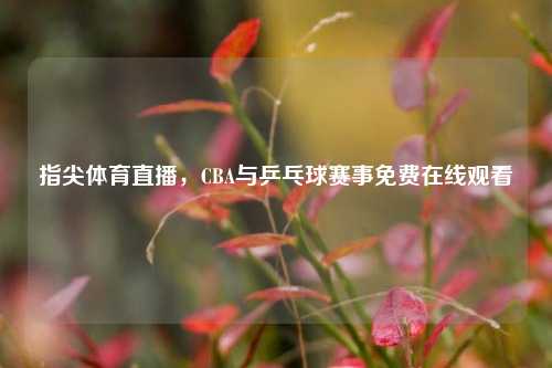 指尖体育直播，CBA与乒乓球赛事免费在线观看