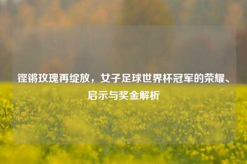 铿锵玫瑰再绽放，女子足球世界杯冠军的荣耀、启示与奖金解析
