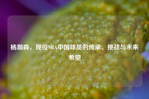 杨瀚森，现役NBA中国球员的传承、挑战与未来希望