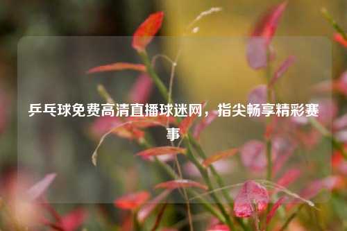 乒乓球免费高清直播球迷网，指尖畅享精彩赛事