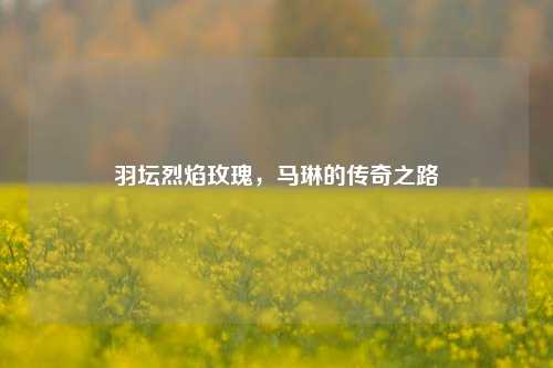 羽坛烈焰玫瑰，马琳的传奇之路